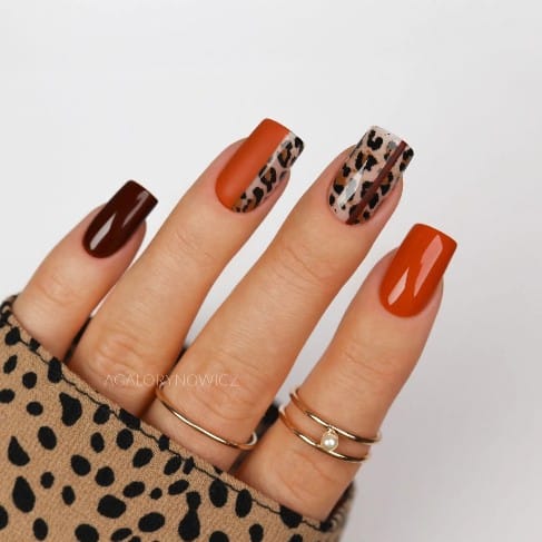 Semilac Nail transfer foil Wild Animals 17 – Image 4