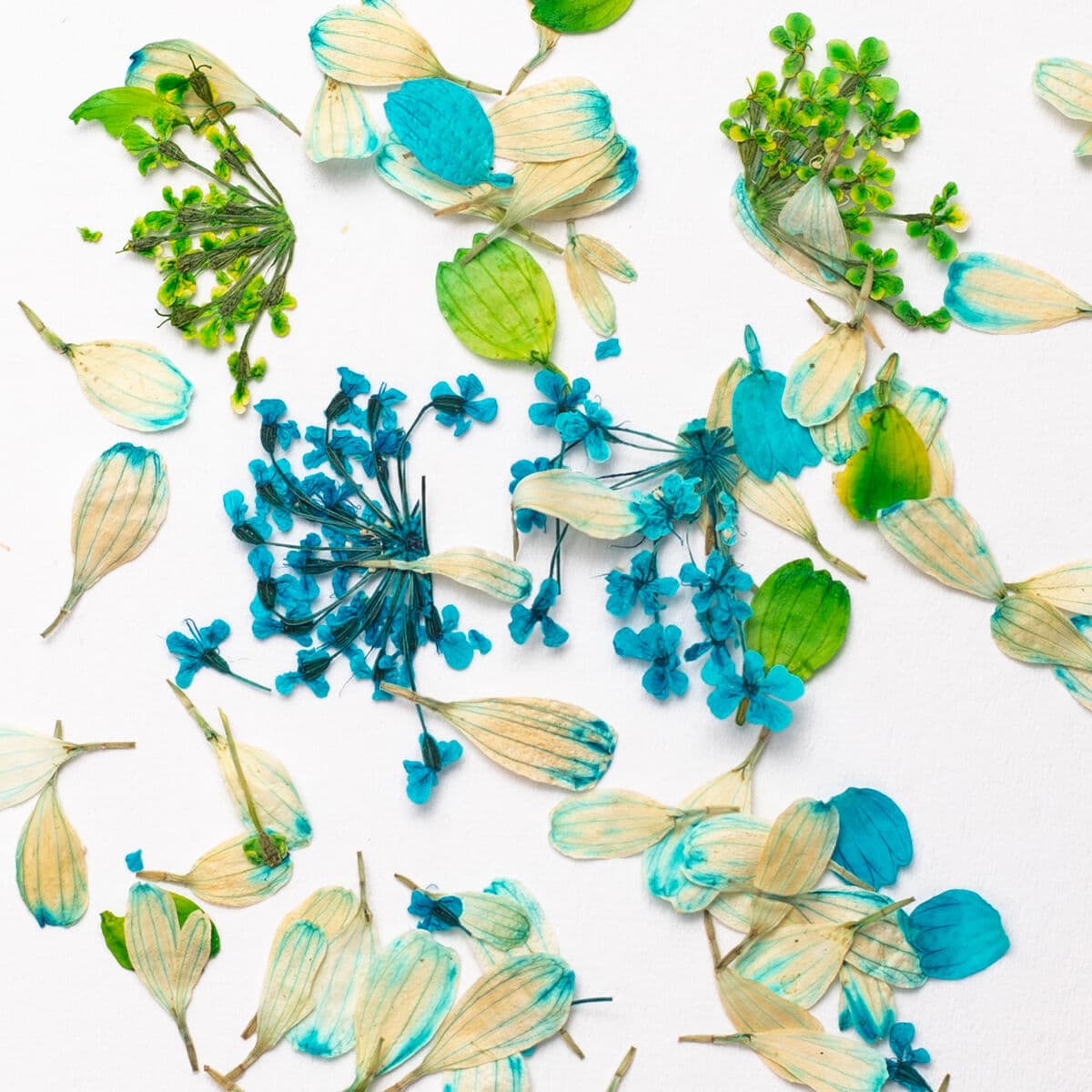 Pétales aux tons pastel vert et turquoise Flower Flakes Spring Meadow de Semilac étalés pour un effet floral naturel sur les ongles.