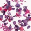 Gros plan sur les pétales violets Flower Flakes Wild Orchid de Semilac, parfaits pour les incrustations raffinées.