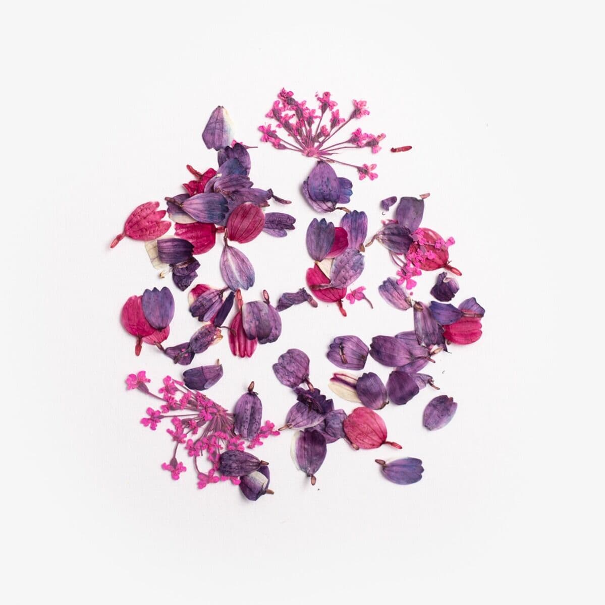 Pétales violets Flower Flakes Wild Orchid de Semilac étalés pour un effet floral naturel sur les ongles.