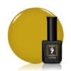 Verin – Vernis Semi-Permanent sans Hema Autumn A19 – 10 ml