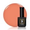 Verin – Vernis Semi-Permanent sans Hema Autumn A25 – 10 ml-